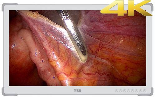 FM-E3203D FM-E3203DG 32” 4K 監(jiān)視器